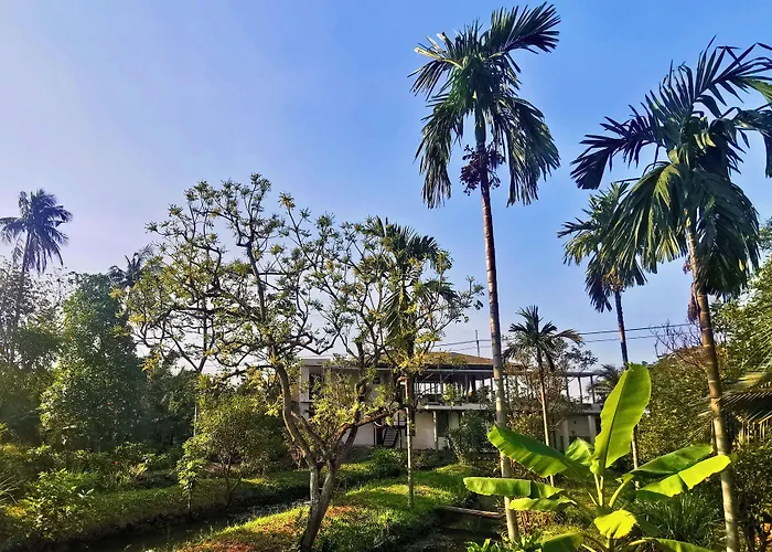 Resort Coconut Lane