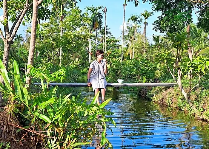 Resort Coconut Lane