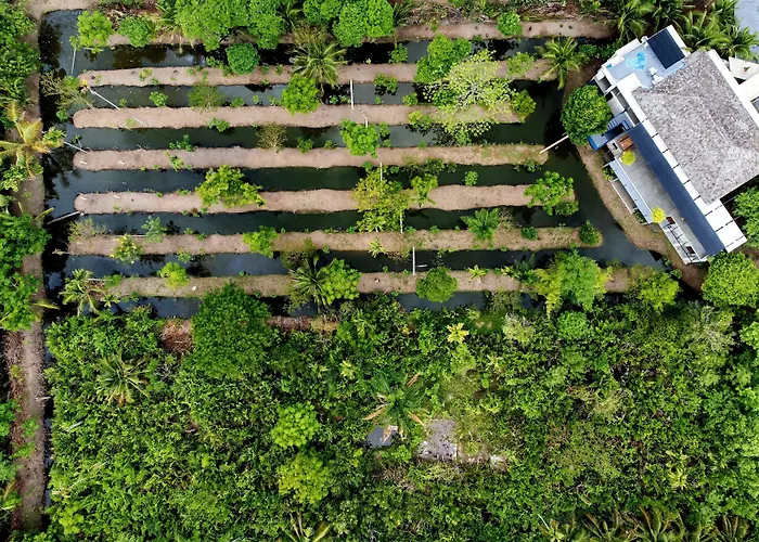 Coconut Lane Resort *